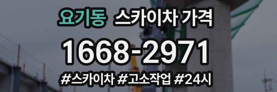 요기동 스카이차 가격
