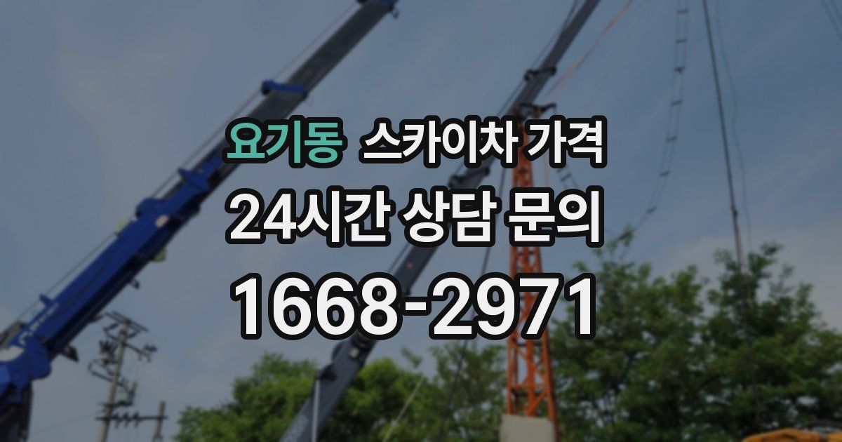 요기동 스카이차 가격