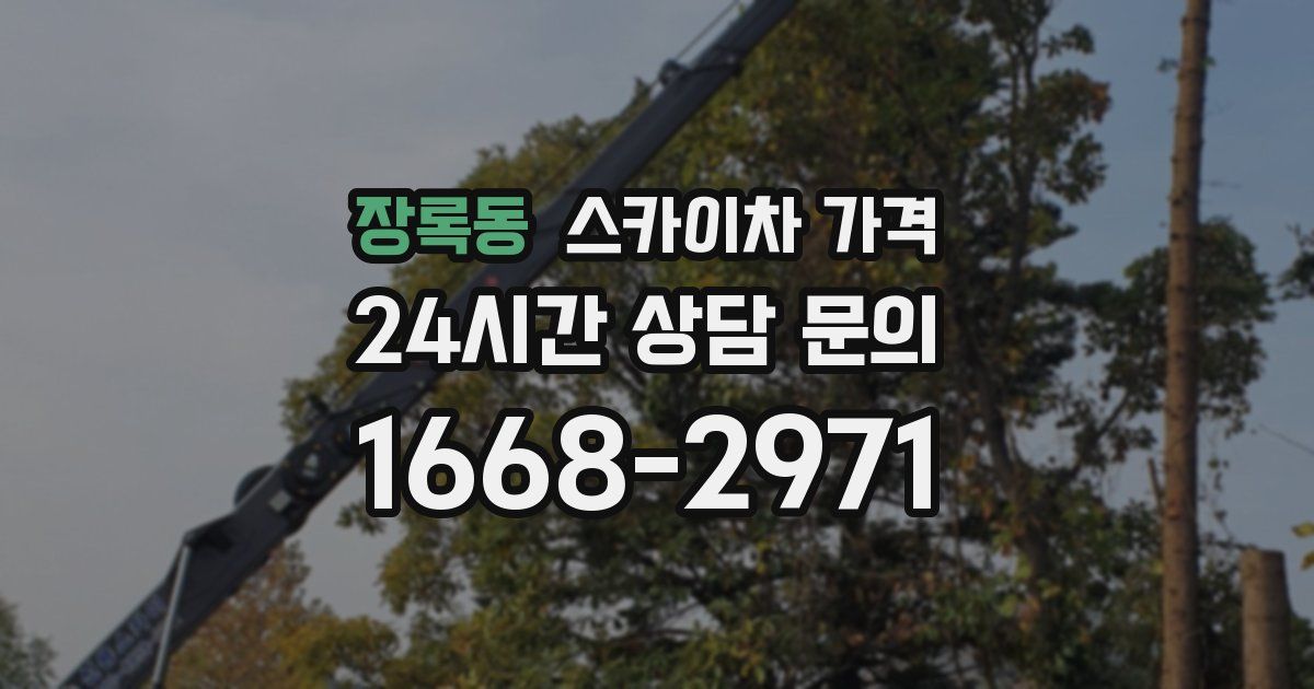 장록동 스카이차 가격