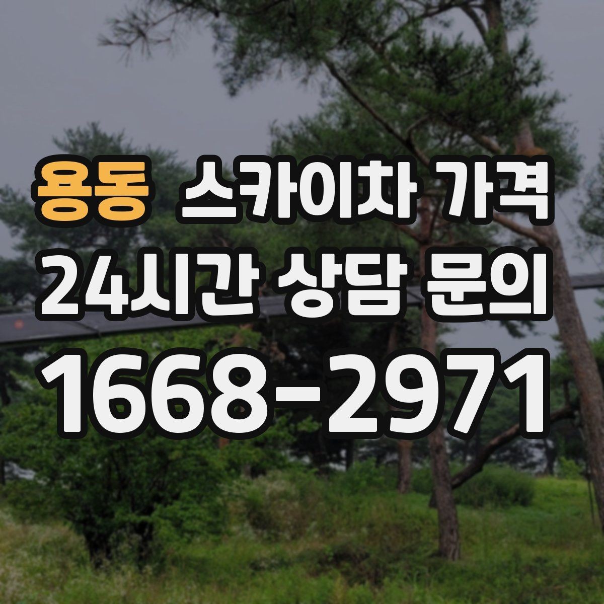 용동 스카이차 가격 차선 점유가 필요한 현장 체크 포인트