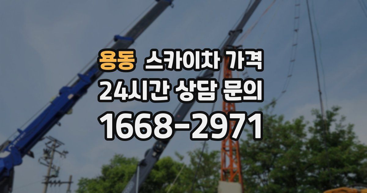용동 스카이차 가격