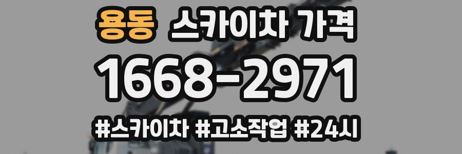 용동 스카이차 가격