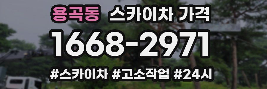 용곡동 스카이차 가격