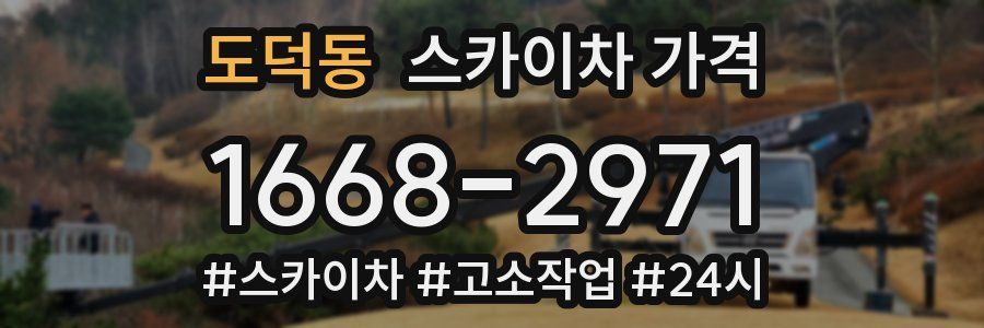 도덕동 스카이차 가격