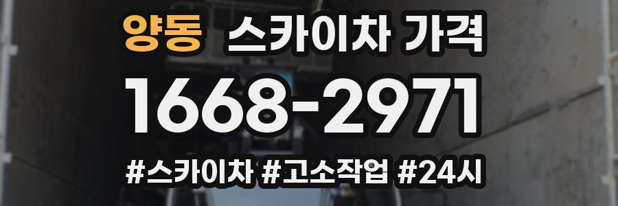 양동 스카이차 가격