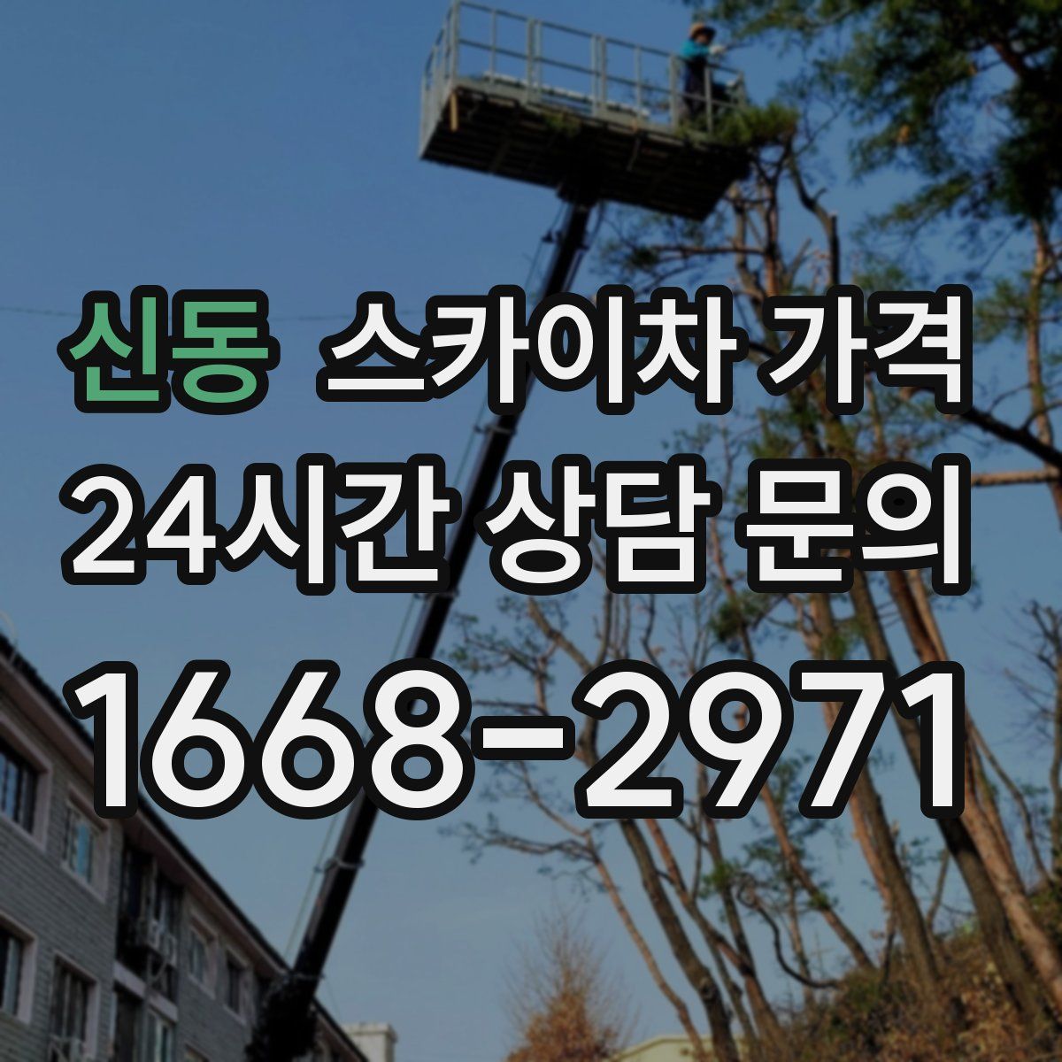 신동 스카이차 가격