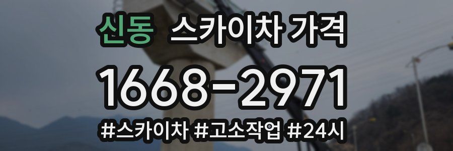 신동 스카이차 가격