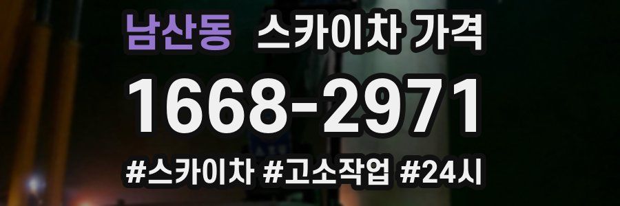 남산동 스카이차 가격