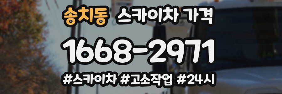 송치동 스카이차 가격