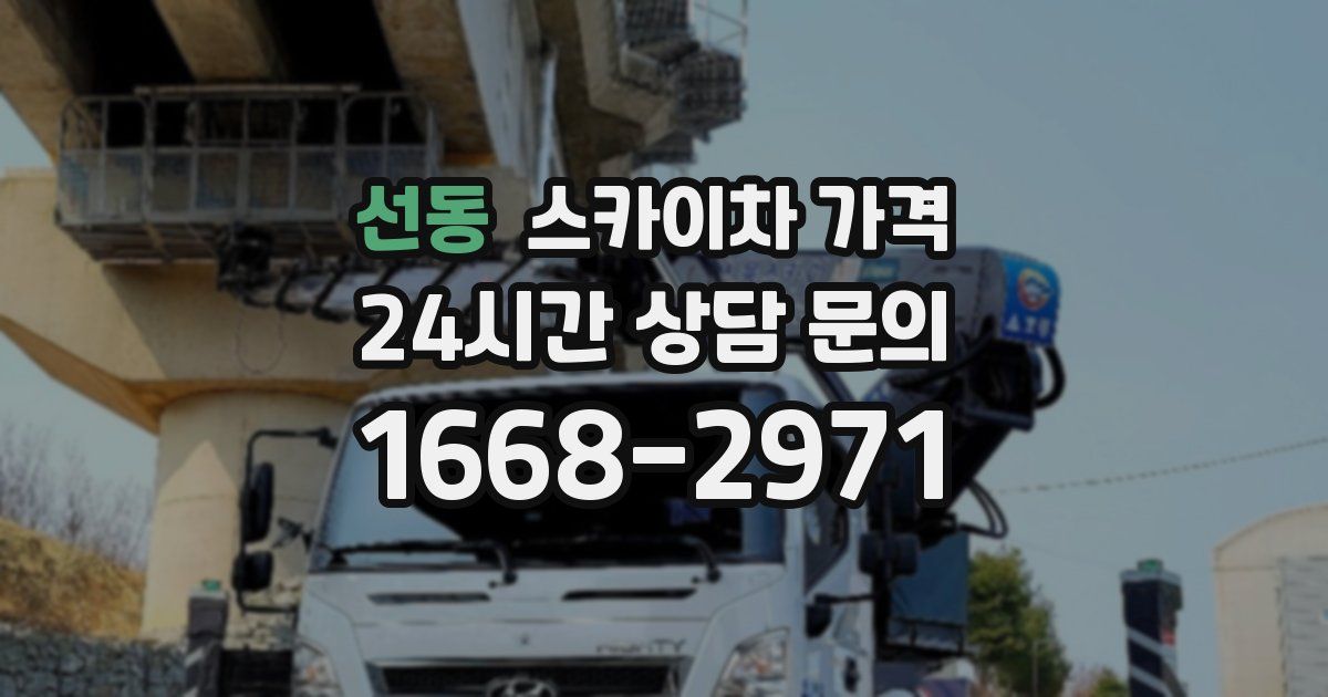 선동 스카이차 가격