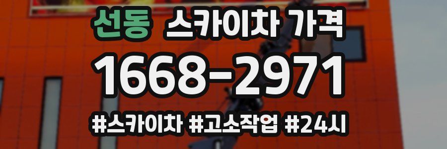 선동 스카이차 가격