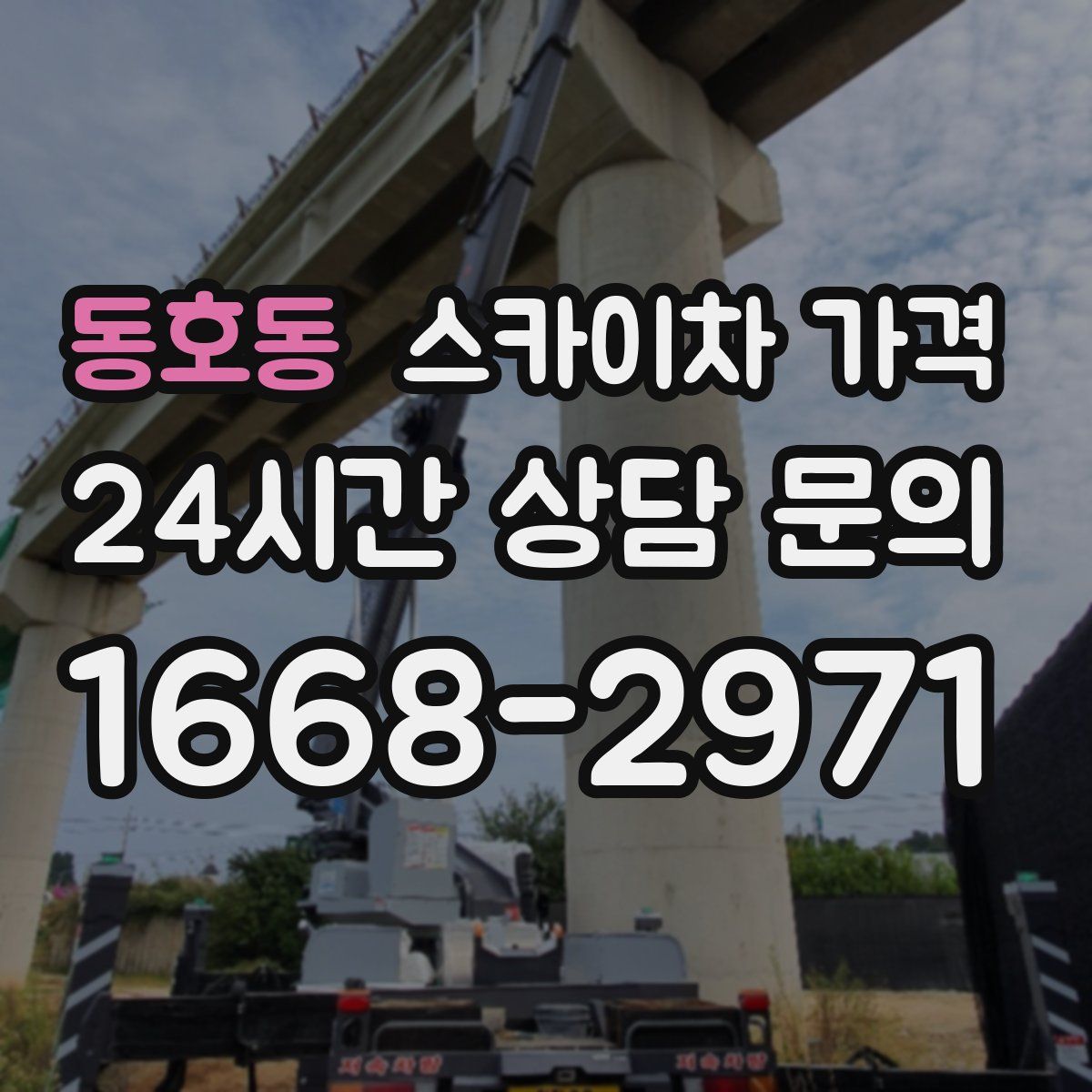 동호동 스카이차 가격