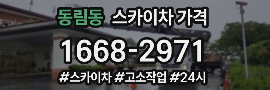동림동 스카이차 가격