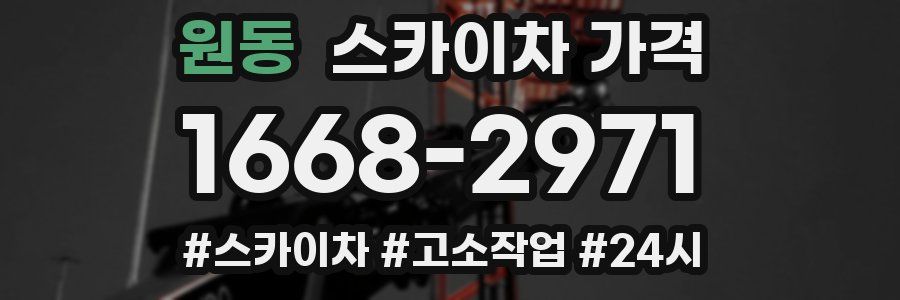 원동 스카이차 가격