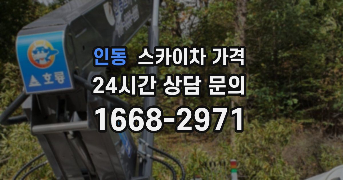 인동 스카이차 가격