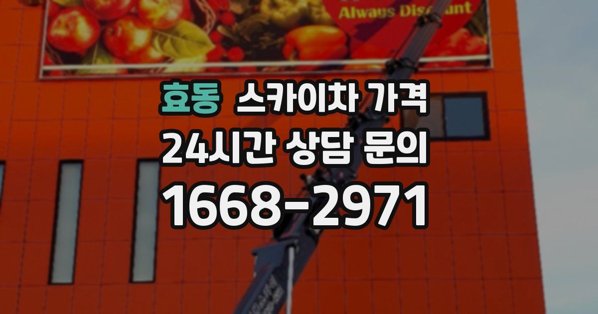 효동 스카이차 가격