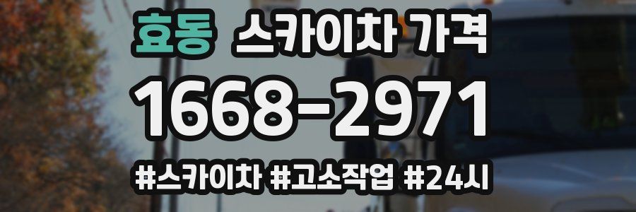 효동 스카이차 가격