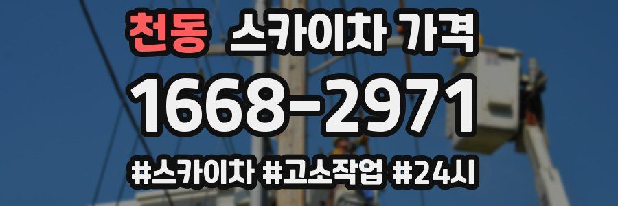 천동 스카이차 가격