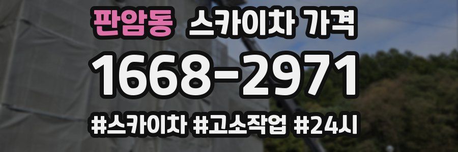 판암동 스카이차 가격