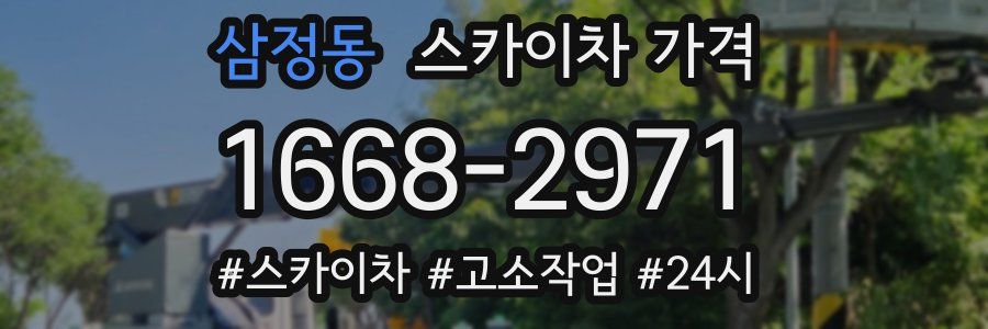 삼정동 스카이차 가격