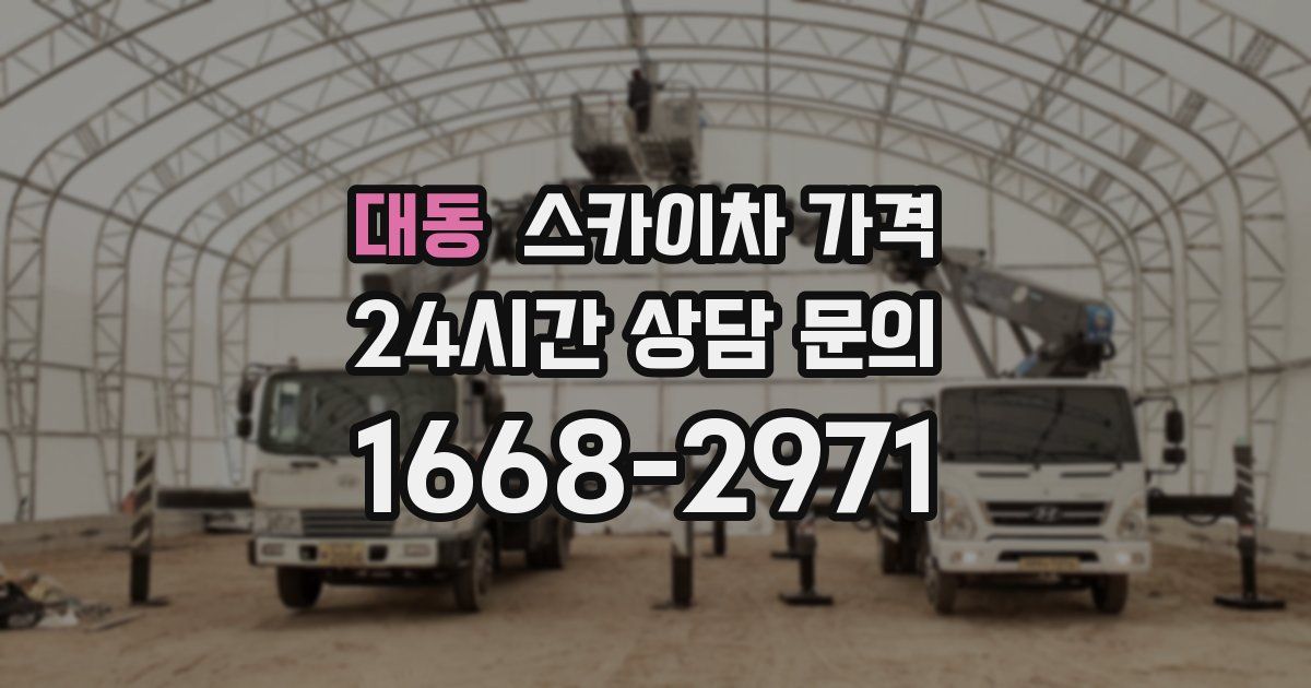 대동 스카이차 가격