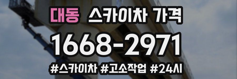 대동 스카이차 가격