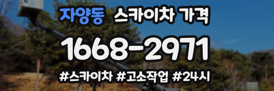 자양동 스카이차 가격