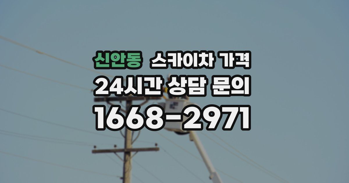 신안동 스카이차 가격