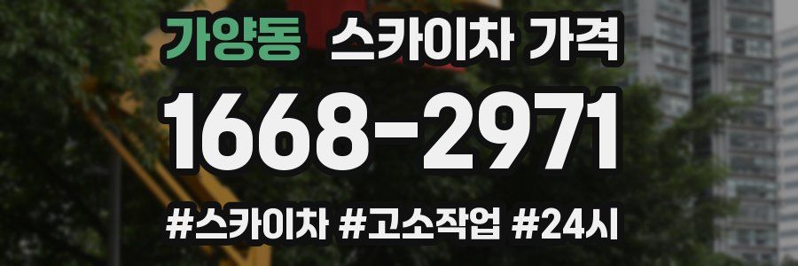 가양동 스카이차 가격