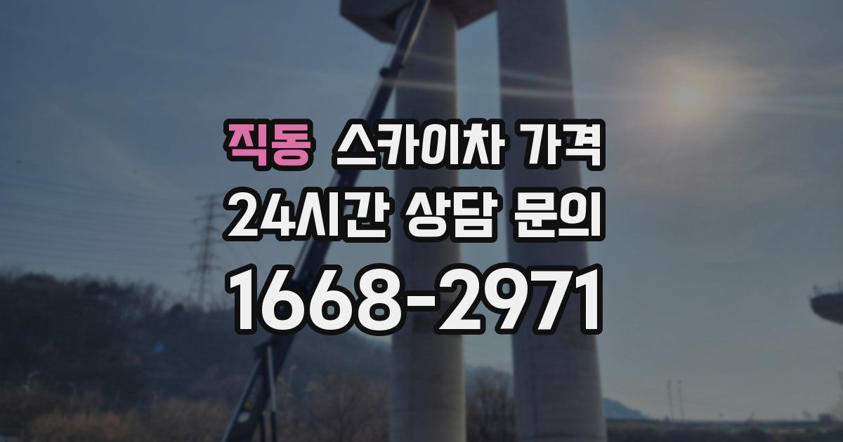 직동 스카이차 가격