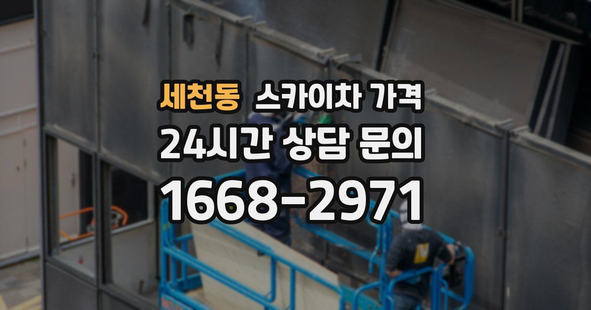 세천동 스카이차 가격