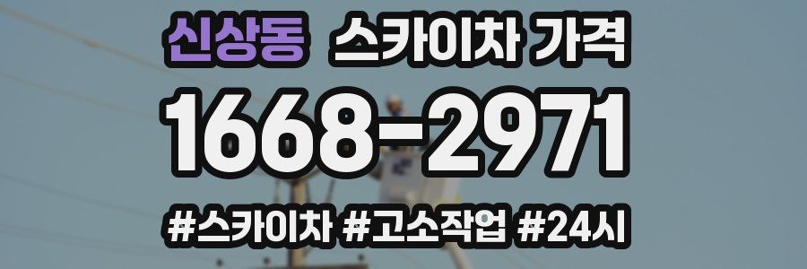 신상동 스카이차 가격