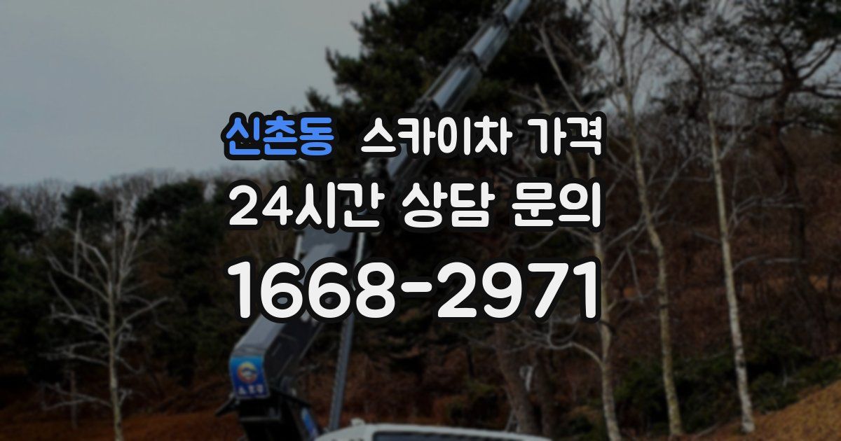 신촌동 스카이차 가격