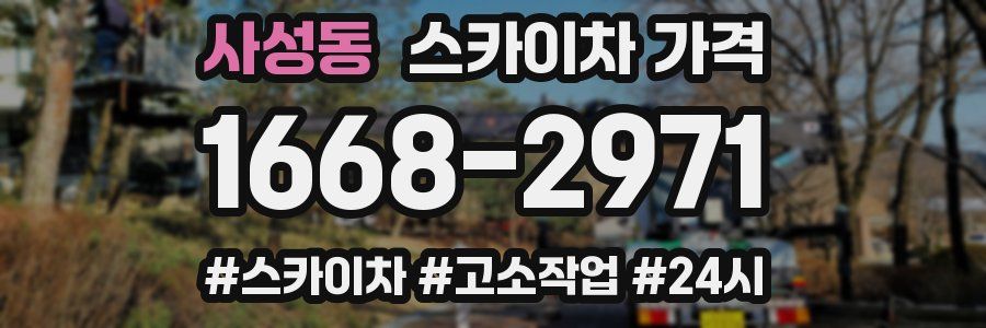 사성동 스카이차 가격
