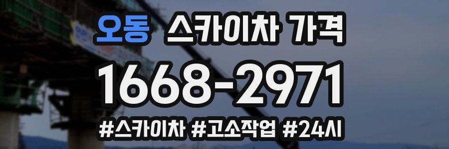 오동 스카이차 가격