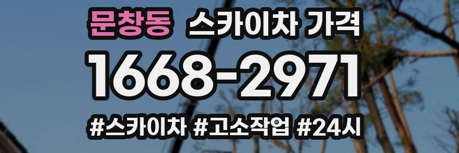 문창동 스카이차 가격