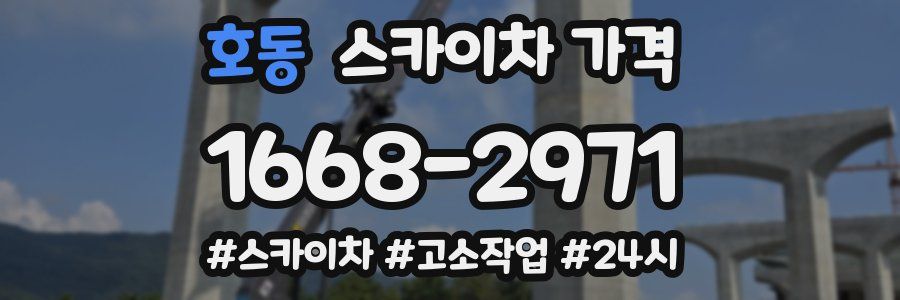 호동 스카이차 가격