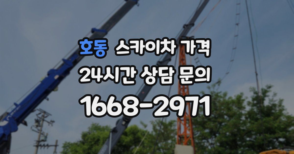 호동 스카이차 가격