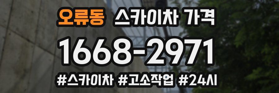 오류동 스카이차 가격