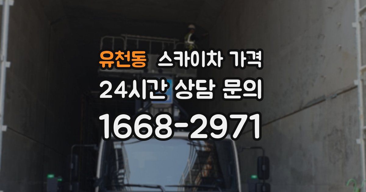 유천동 스카이차 가격