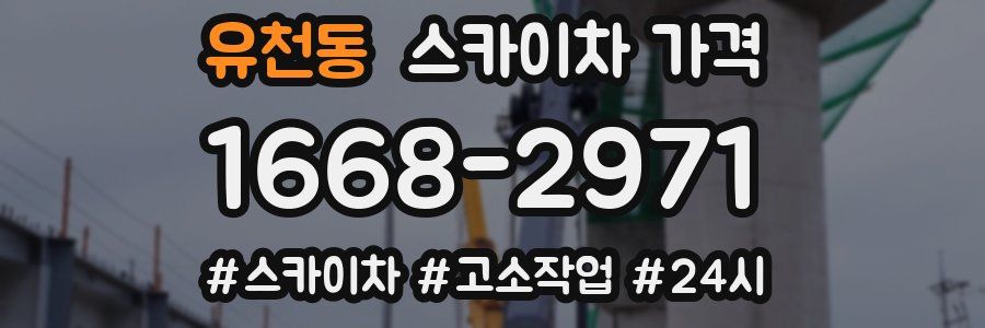 유천동 스카이차 가격