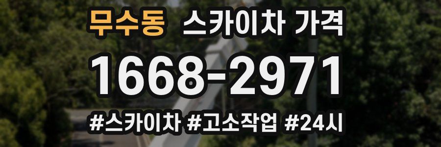 무수동 스카이차 가격