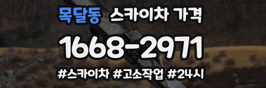 목달동 스카이차 가격