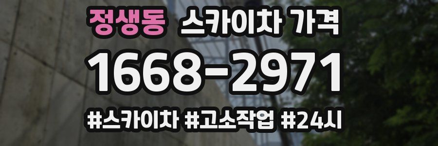 정생동 스카이차 가격