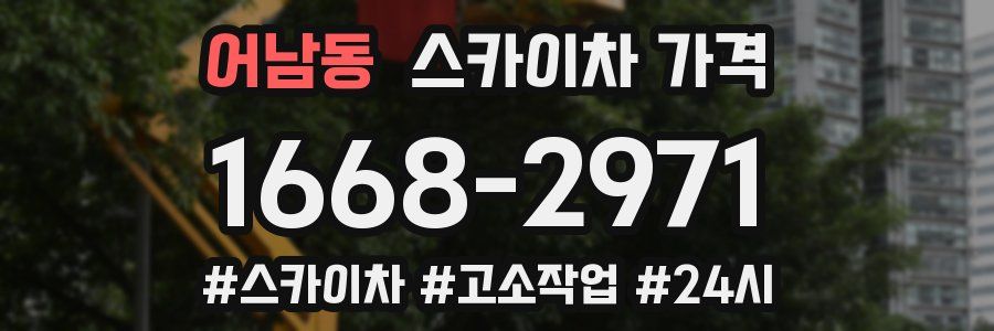 어남동 스카이차 가격