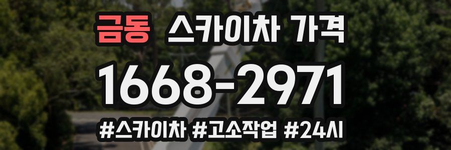 금동 스카이차 가격