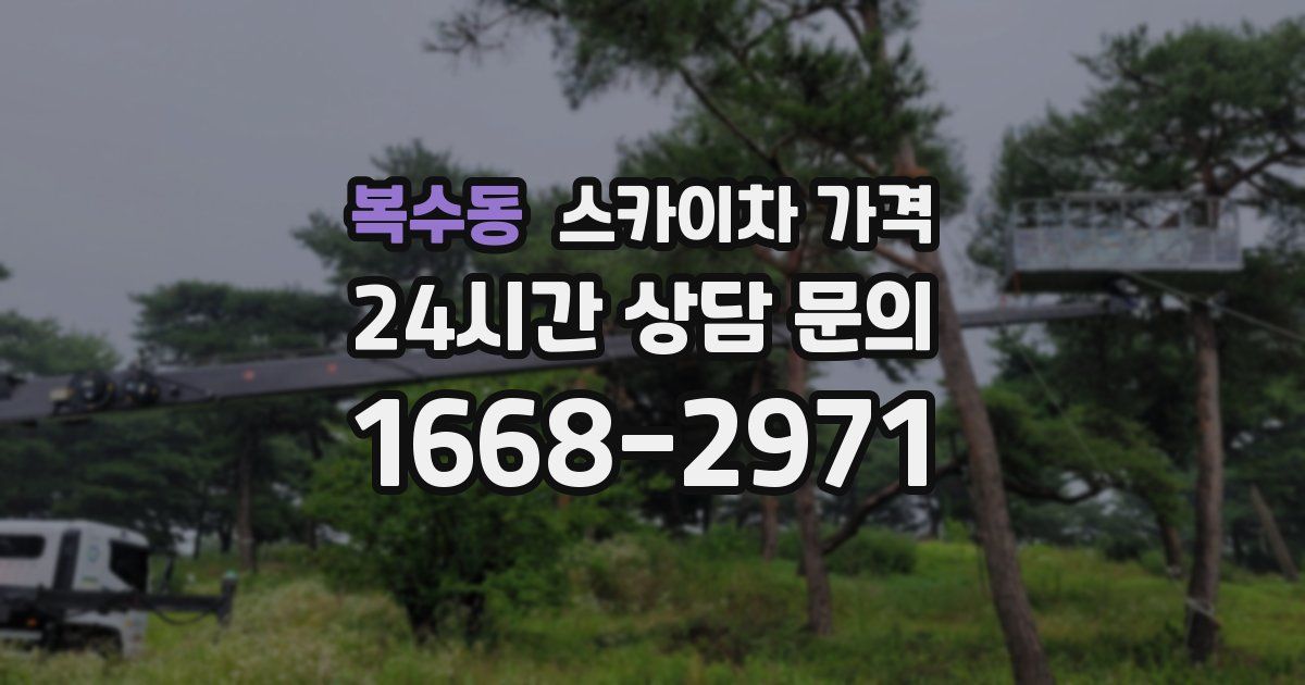 복수동 스카이차 가격