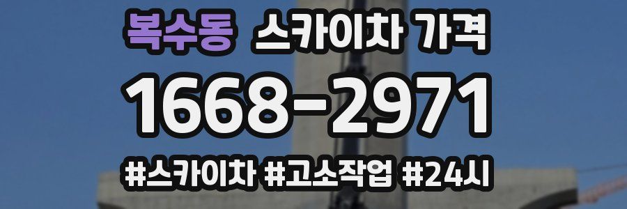 복수동 스카이차 가격