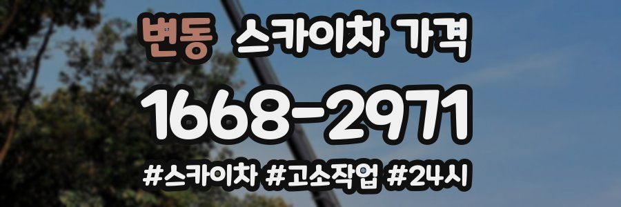 변동 스카이차 가격