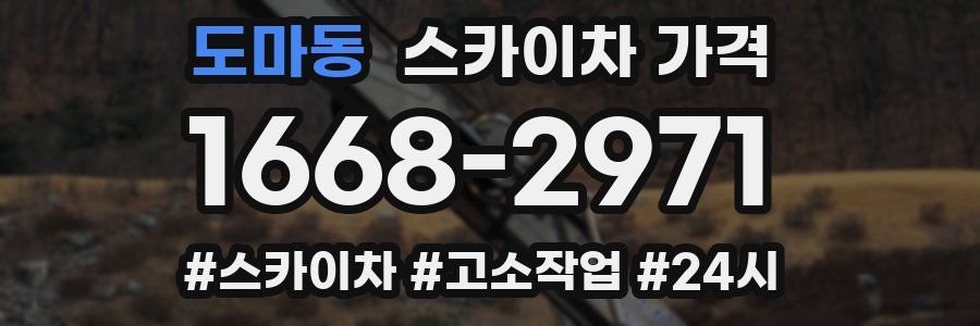 도마동 스카이차 가격